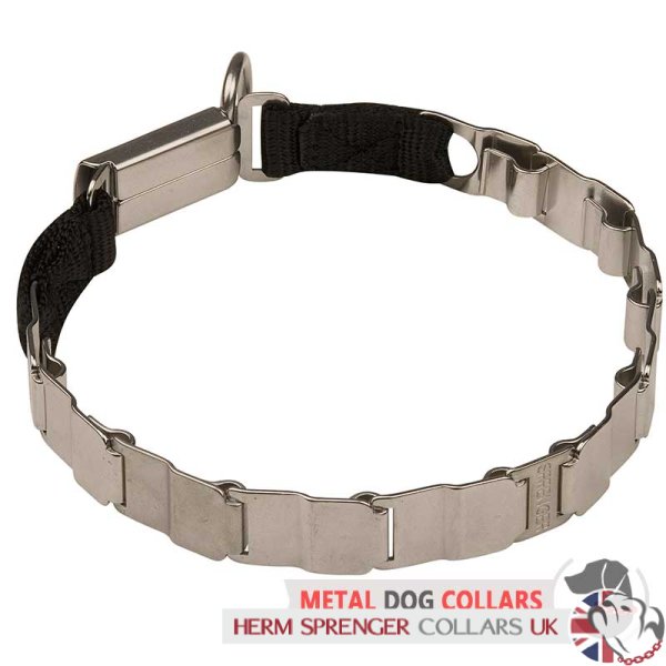 Neck Tech Fun Stainless Steel Dog Collar