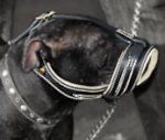 Pitbull Terrier Royal Nappa Leather Dog Muzzle