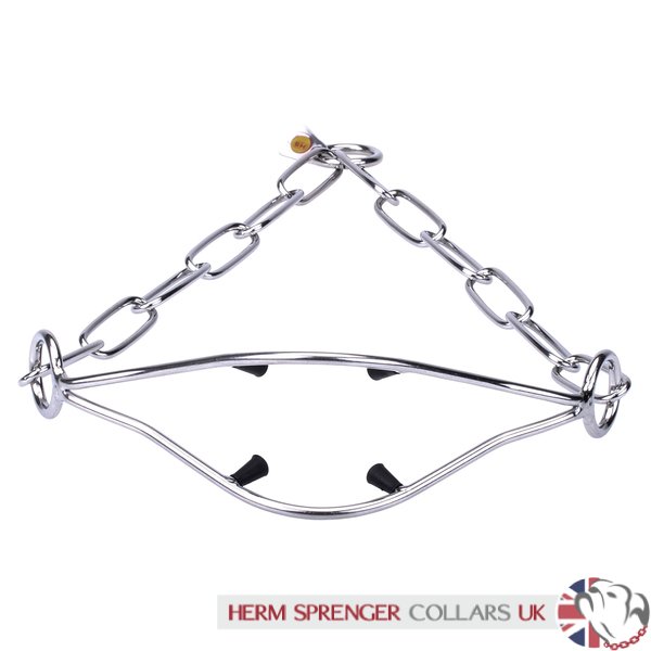 "Attention Concentrator" 3mm Stainless Steel Herm Sprenger Flat Link Show Collar for Dog