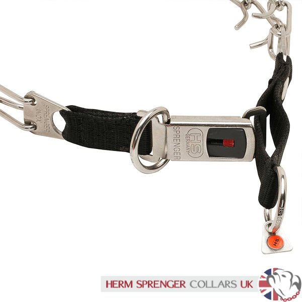 "Taming Loop" 3.2 mm Stainless Steel Dog Pinch Collar with Buckle and Nylon Loop