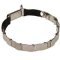 Neck Tech Fun Stainless Steel Dog Collar