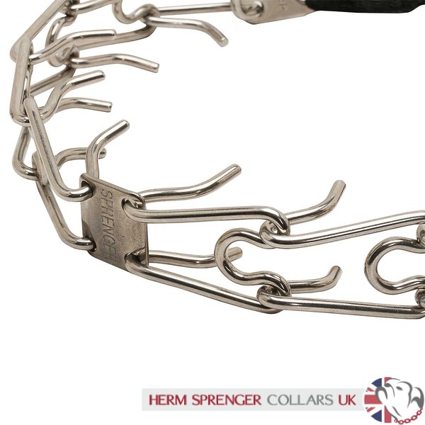 "Taming Loop" 3.2 mm Stainless Steel Dog Pinch Collar with Buckle and Nylon Loop
