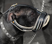Pitbull Terrier Royal Nappa Leather Dog Muzzle